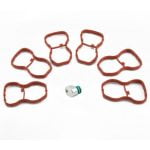 Kit anulare galerie admisie pentru BMW (SWIRL FLAPS) cod motor N57 N57S