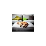 Curatare interior auto / canapele / mochete / covoare / stofe | KILAV Drap – 1L - imagine 3