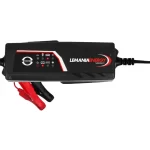 Redresor pentru baterie Inteligent 12V 3.8A Lemania
