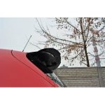 ELERON PORTBAGAJ, PRELUNGIRE SEAT LEON MK2 MS DESIGN - imagine 7